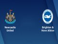 Dự đoán bóng đá Newcastle vs Brighton 21h00 ngày 20/10