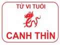 Xem tử vi trọn đời tuổi Canh Thìn chính xác