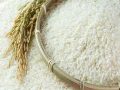 Mơ thấy gạo là điềm báo gì, nên ghi đề số nào thì trúng thưởng?