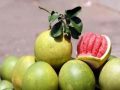Mơ thấy quả bưởi là điềm tốt hay xấu, nên đánh con gì?