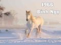Xem tử vi trọn đời tuổi Bính Ngọ chính xác