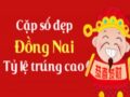 Dự đoán XSDN 17-11-2021 – Dự đoán Xổ Số Đồng Nai Thứ 4