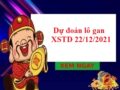 Dự đoán lô gan XSTD 22/12/2021 hôm nay