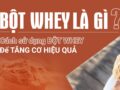 Whey protein là gì? Các loại sữa Whey Protein phổ biến