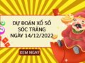 Dự đoán kết quả xổ số Sóc Trăng ngày 14/12/2022 thứ 4 hôm nay