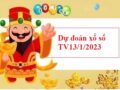 Dự đoán xổ số Trà Vinh 13/1/2023 hôm nay