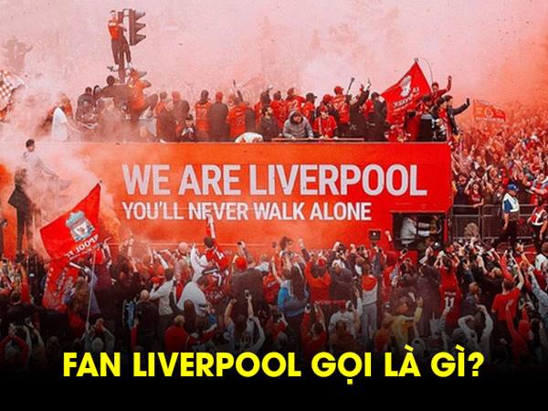 Fan Liverpool gọi là gì? Bật mí biệt danh ít người biết