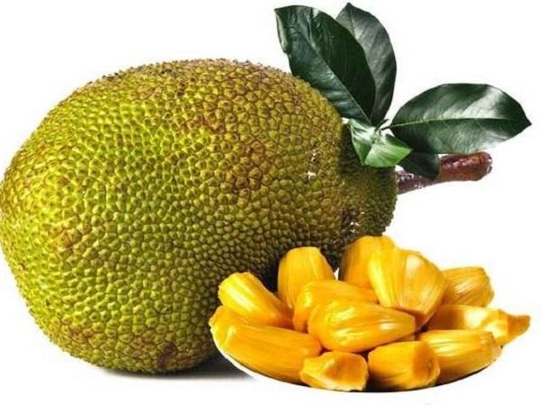 Giải mã giấc mơ thấy quả mít và con số may mắn liên quan