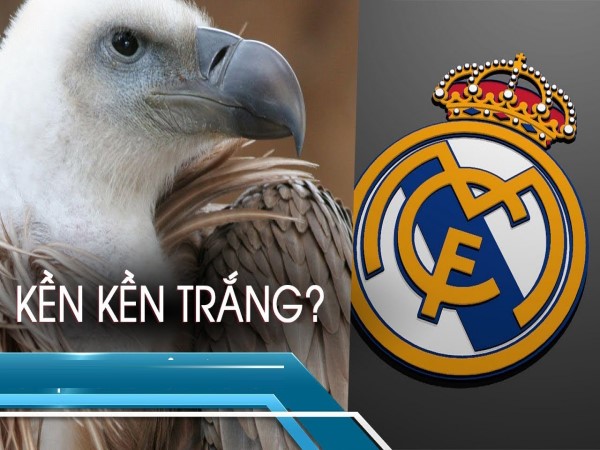 Ý nghĩa kền kền trắng là biệt danh của câu lạc bộ nào?
